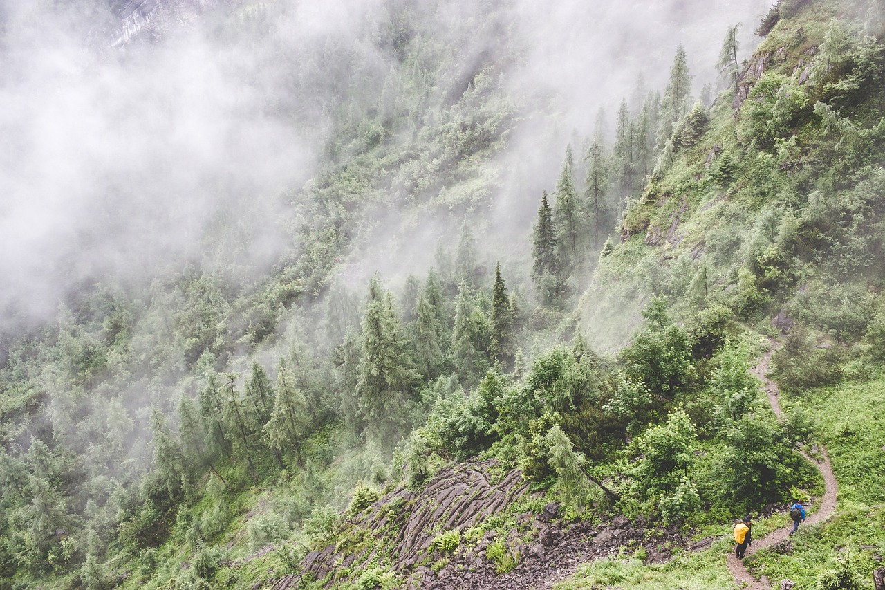 汽車與黃山，獨(dú)特之旅的融合體驗(yàn)